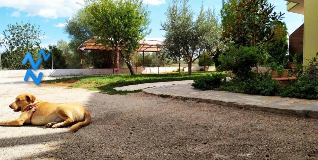 Ktima Anastasia Anabolu Dış mekan fotoğraf