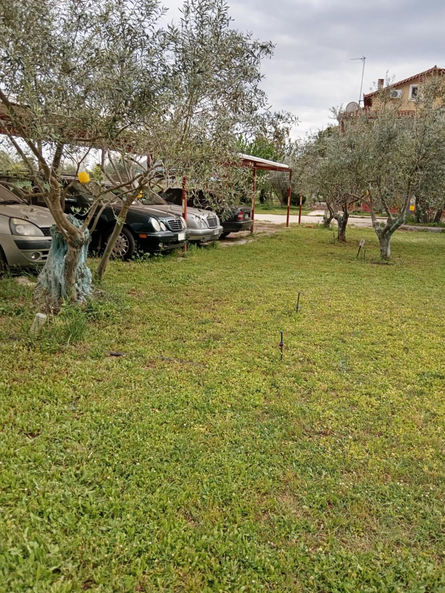 Ktima Anastasia Anabolu Oda fotoğraf